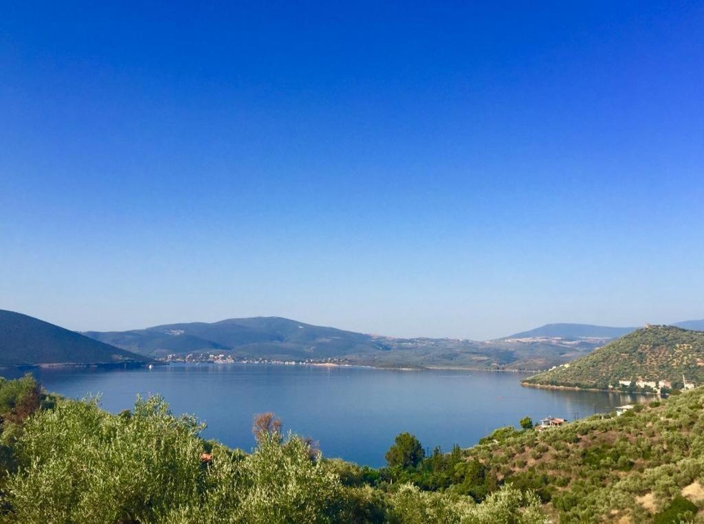 Villa Duchess Πτελεός Εξωτερικό φωτογραφία