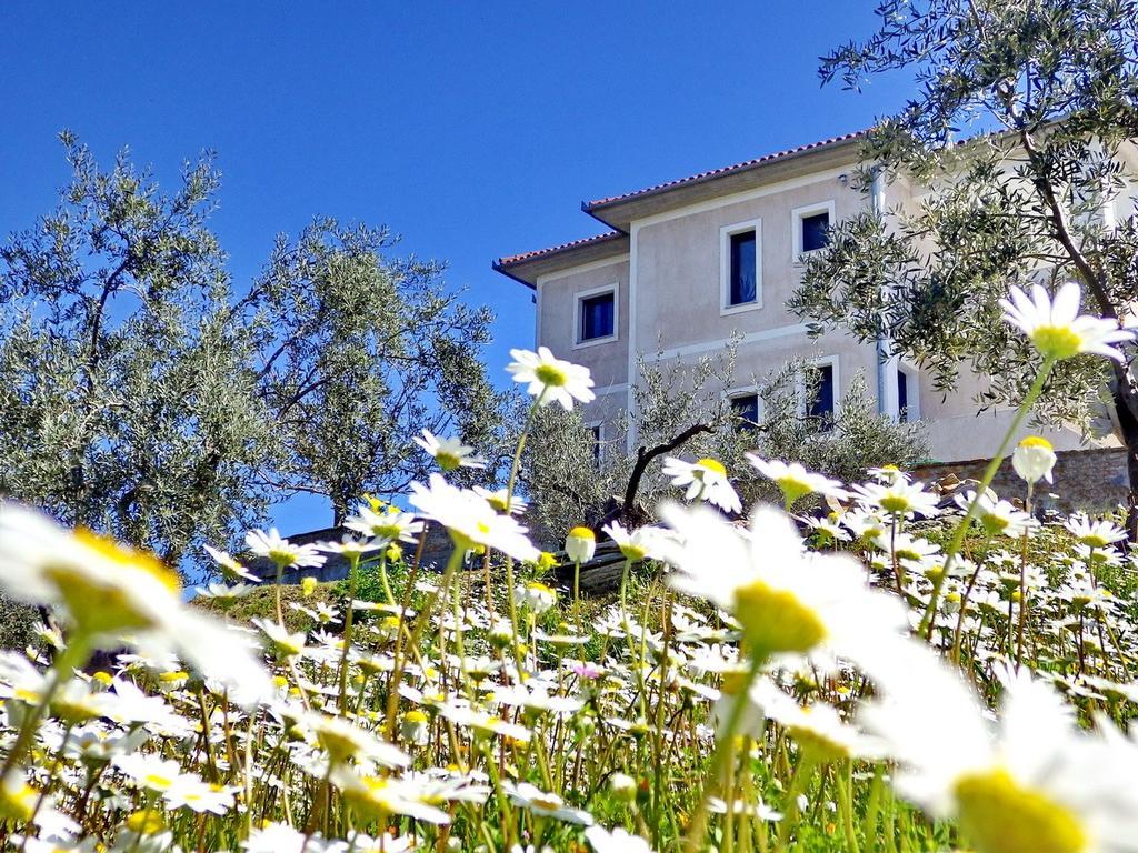 Villa Duchess Πτελεός Εξωτερικό φωτογραφία